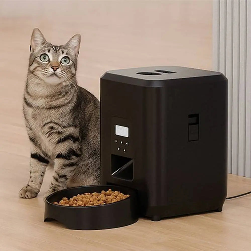 Distributeur automatique de croquettes pour chat noir, boîtier rectangulaire avec bol