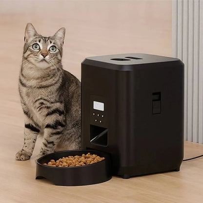 Distributeur automatique de croquettes pour chat noir, boîtier rectangulaire avec bol