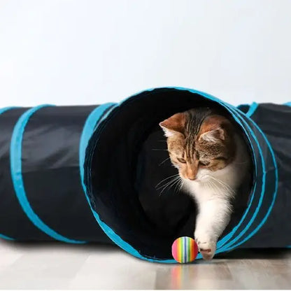 Tunnel pour chat noir à bordures bleu, ouverture circulaire, chat sortant