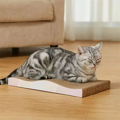 Griffoir pour chat PawComfort rectangulaire, chat tigré couché sur la surface
