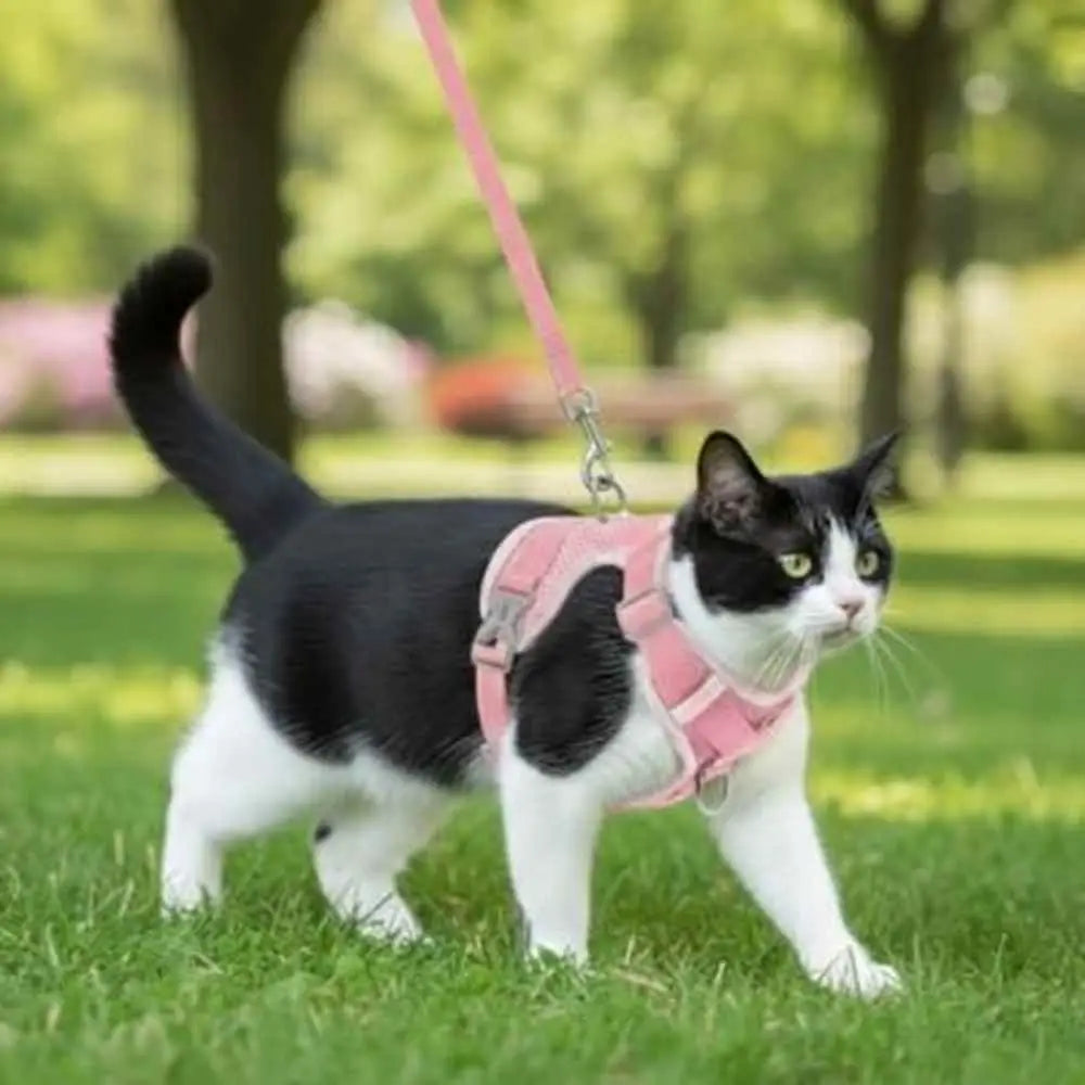 Harnais-gilet anti-évasion pour chat, rose, avec sangles et attache de laisse