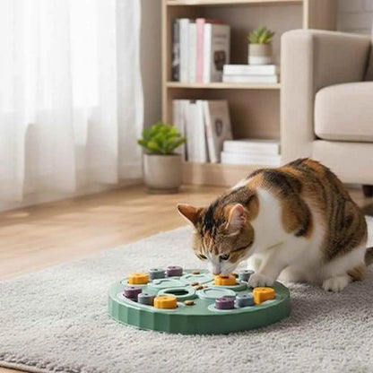 Plateau repas circulaire pour jouet de chat, base verte avec pièces multicolores