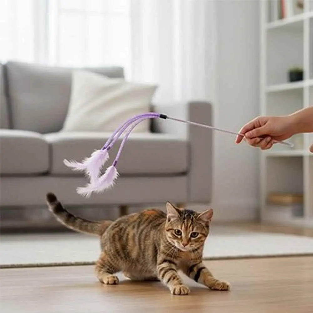 Baguette chenille pour chat, cordon violet et plume rose au bout, chat tabby au sol
