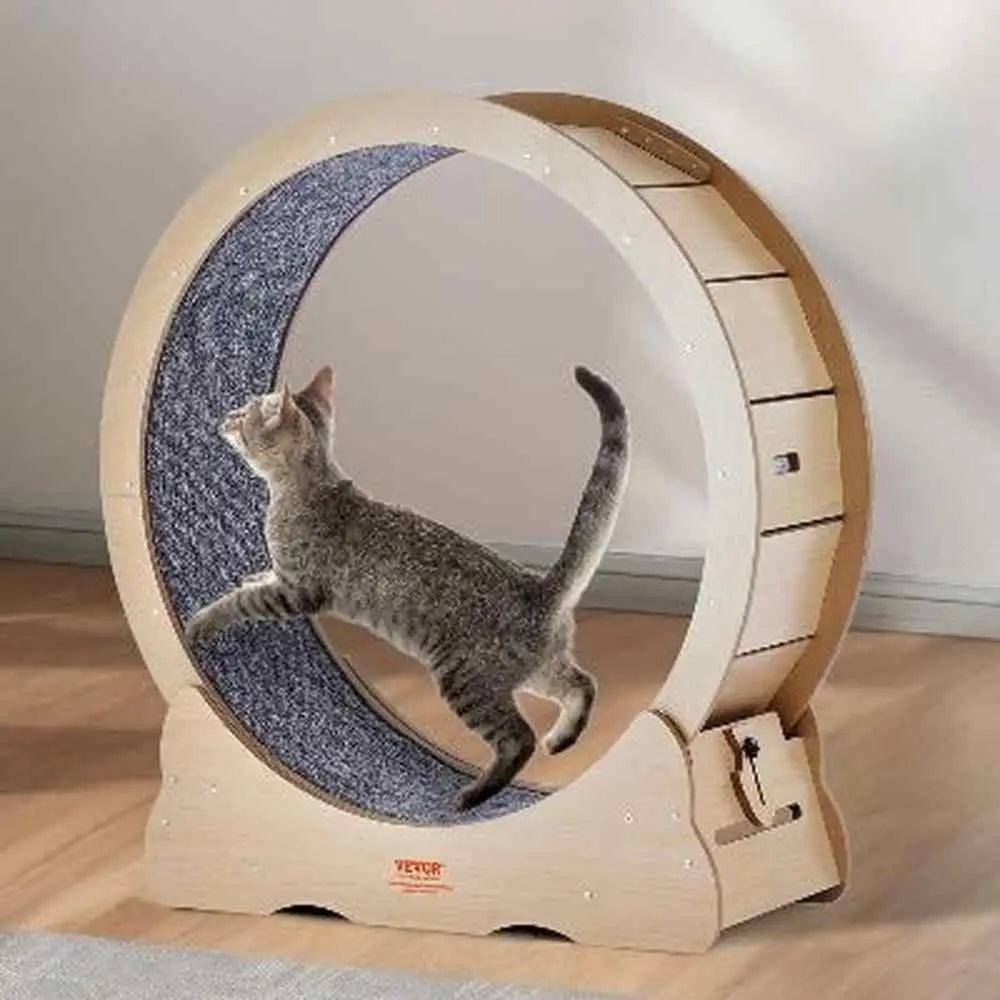 Roue pour chat KittyTread™ beige avec chat gris sur tapis de course