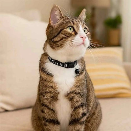 Collier pour chat noir à pattes blanches, fermoir réglable avec clochette noire