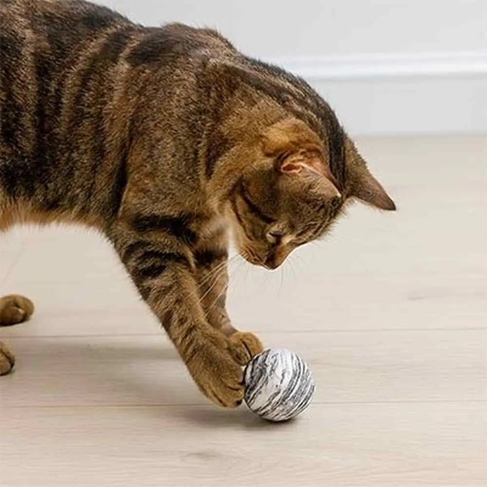 Balle pour chat rayée noire et grise, tenue au sol par un chat