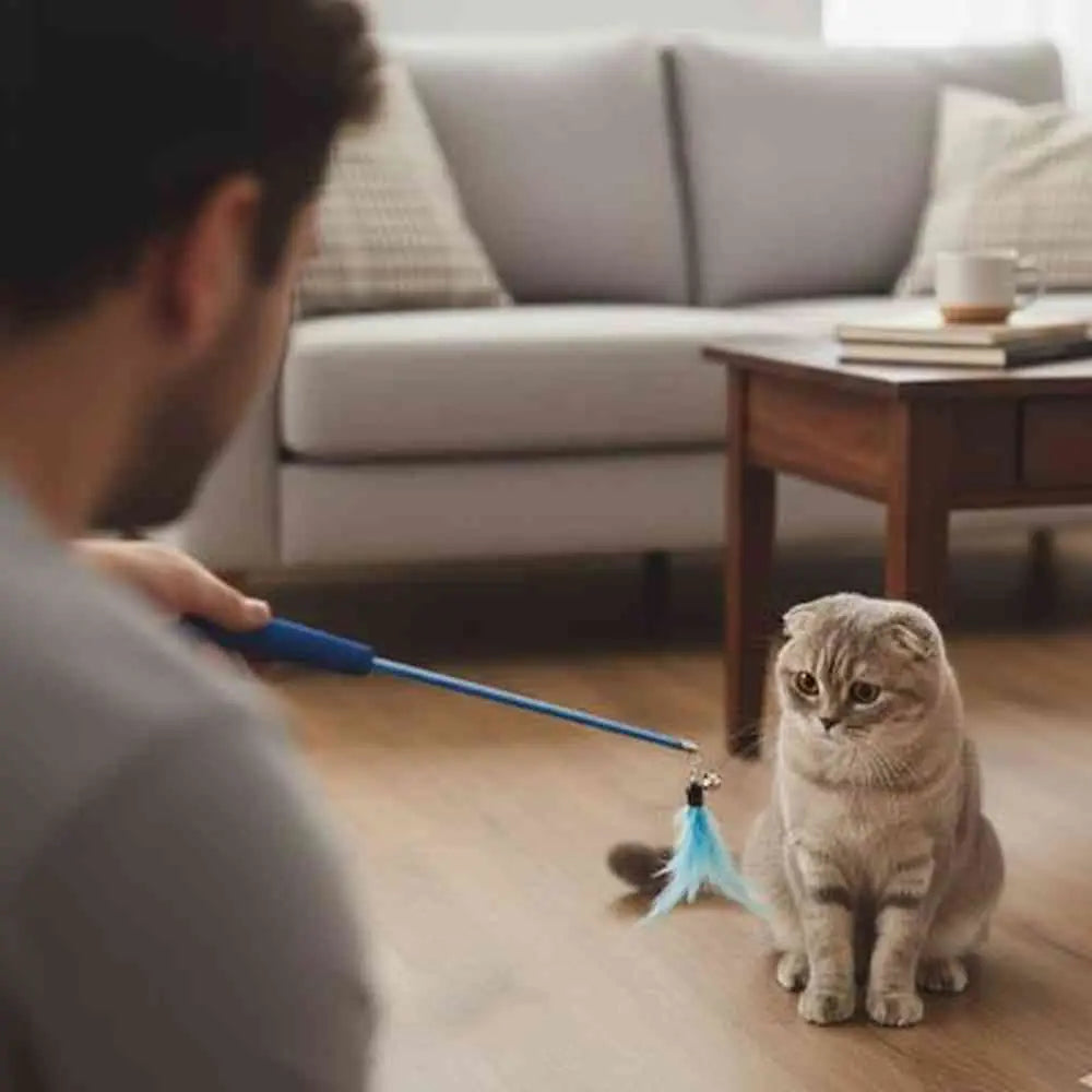 Canne à pêche pour chat, poignée bleue et plume bleue pendante près du chat