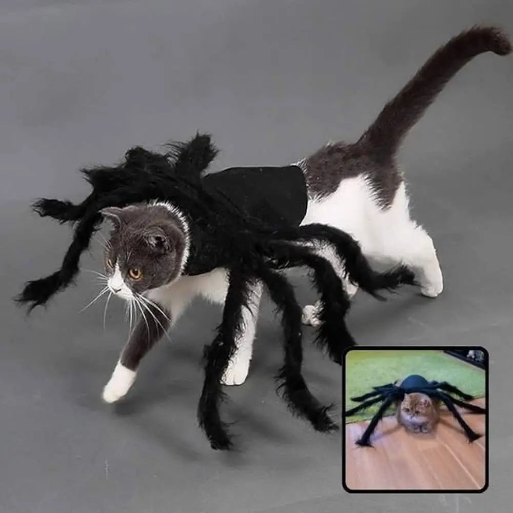 Déguisement pour chat à pattes d’araignée noires, capuche et tissu duveteux.