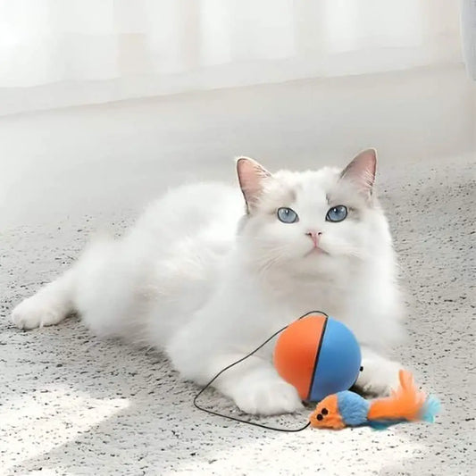 Balle motorisée intelligente pour chat, orange et bleue, avec cordon et petite souris