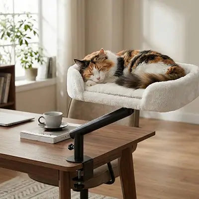 Lit pour chat avec coussin clair rembourré et support noir sur table en bois