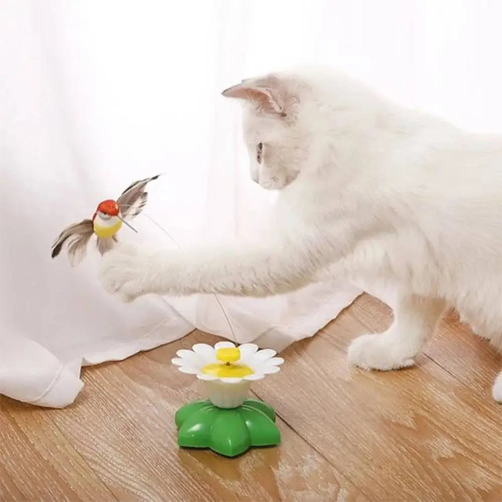Jouet interactif pour chat : marguerite blanche jaune sur base verte avec petit oiseau