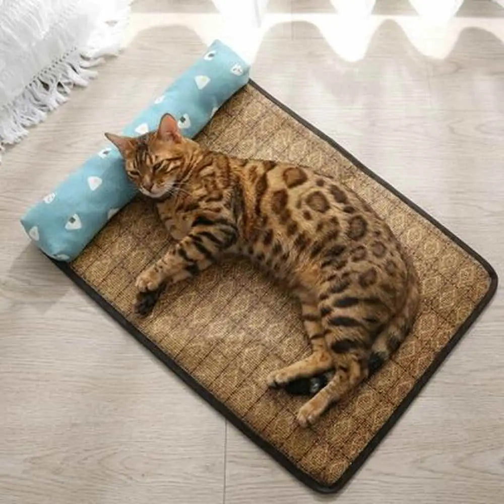 Tapis rafraîchissant pour chat brun à bords noirs, chat tigré couché sur coussin bleu