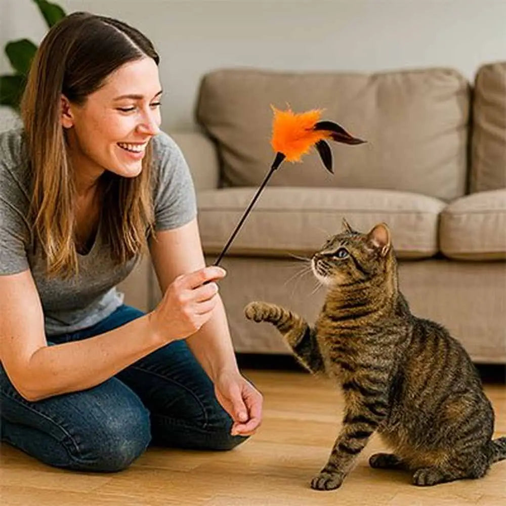 Bâton de jeu pour chat avec plume orange et tige noire