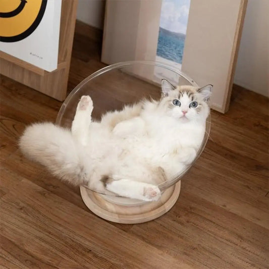 Lit pour chat à dôme transparent, base ronde, chat blanc couché à l’intérieur.