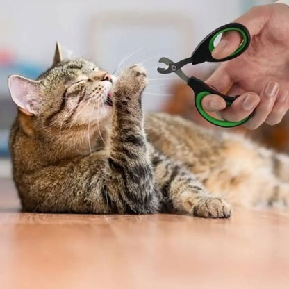 Coupe-griffes pour chat à poignées vertes, en main sur un chat couché