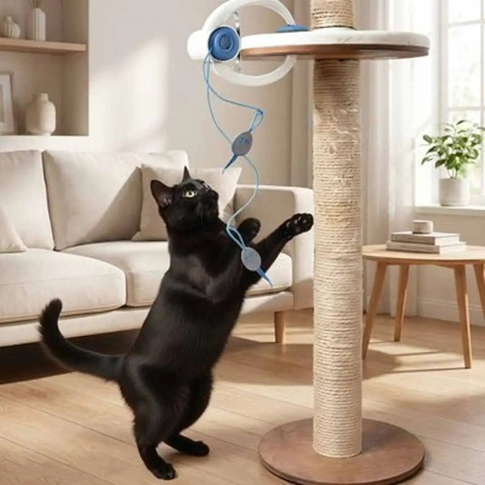 Jeu interactif pour chat sur socle avec poteau en sisal, disque blanc, chat noir