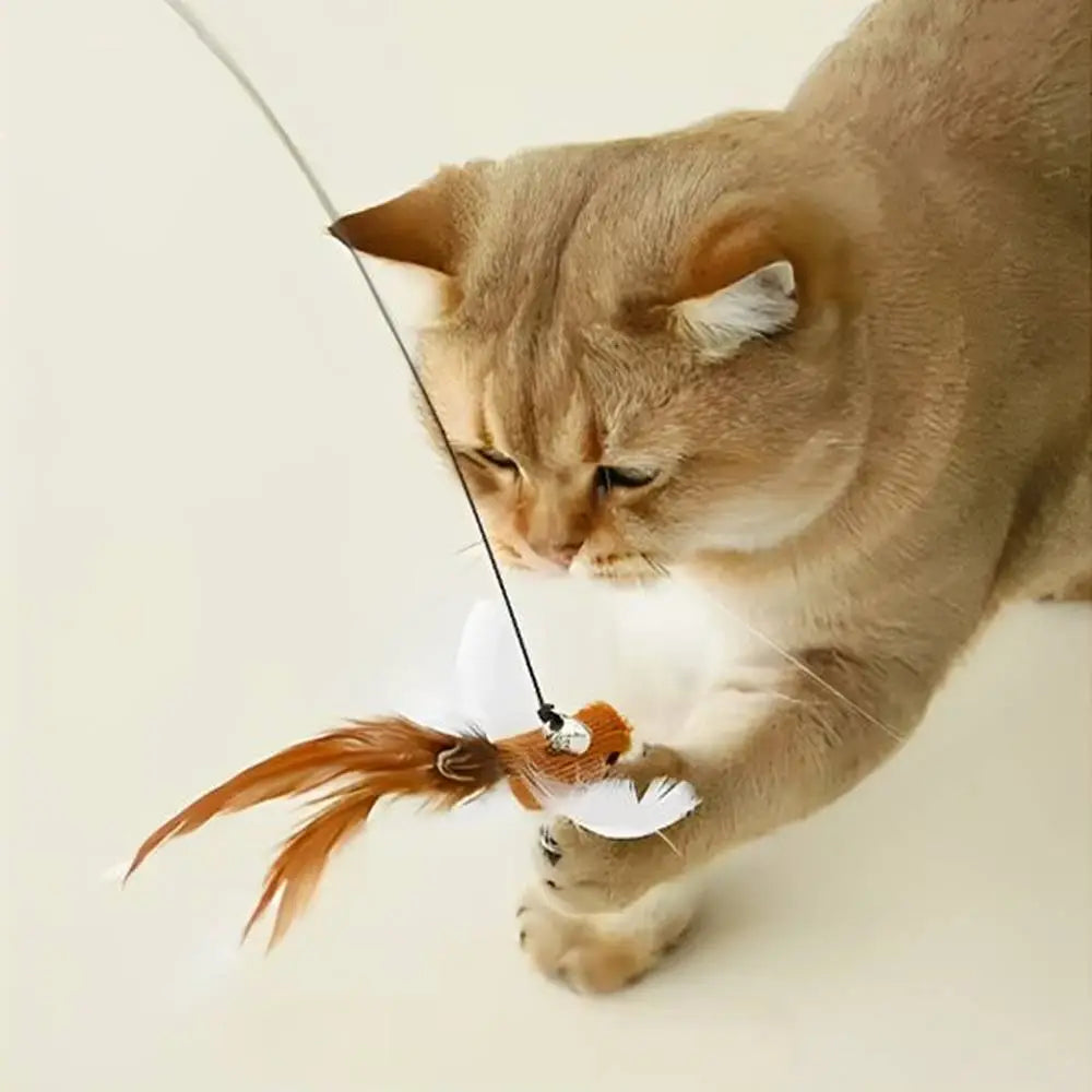 Baguette de jeu interactive pour chat avec oiseau orange à plumes, sur cordon