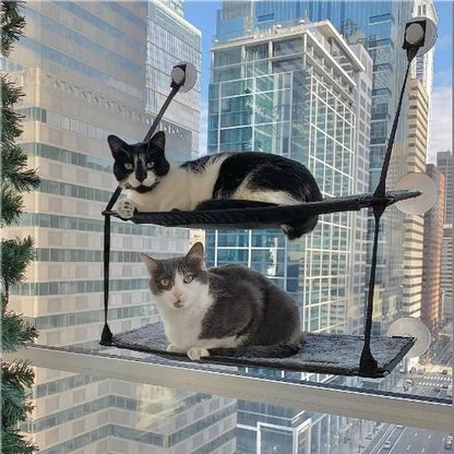 Hamac pour chat de fenêtre Solaris noir, plateforme tissée et barres de fixation.