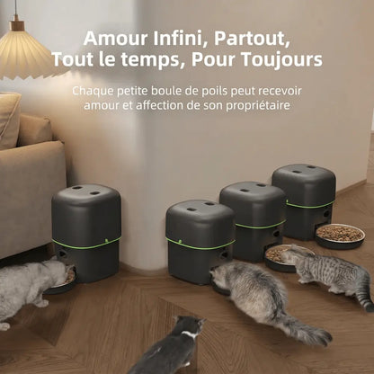 Distributeurs automatiques de croquettes pour chat noirs, plusieurs appareils avec bols