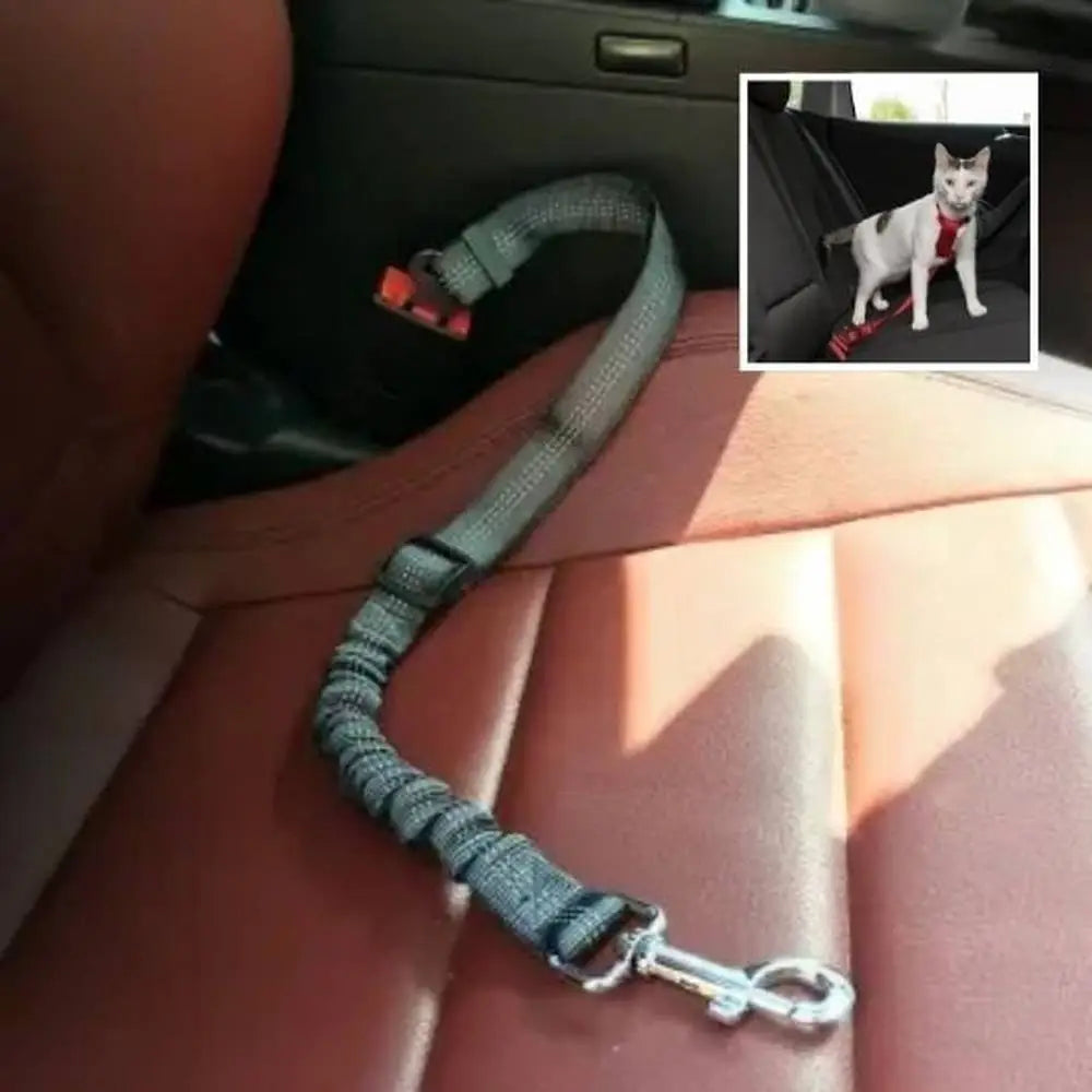 Laisse pour chat grise avec mousqueton métallique, sangles et boucle d’attache