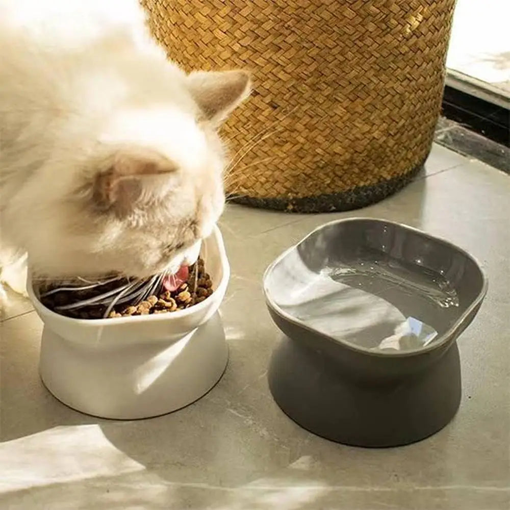 Gamelles pour chat : bol blanc rempli de croquettes et bol gris foncé pour l’eau