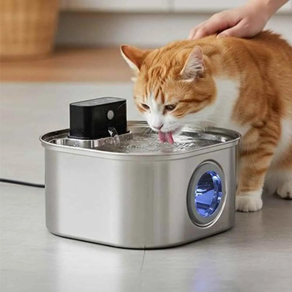Fontaine à eau pour chat en acier inoxydable, éclairage bleu, chat buvant à la gamelle