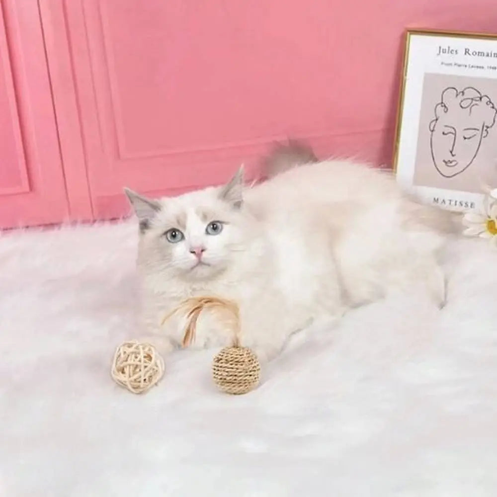 Jouet pour chat avec balles en corde tressée beige et plume, lot assorti.