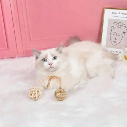 Jouet pour chat avec balles en corde tressée beige et plume, lot assorti.