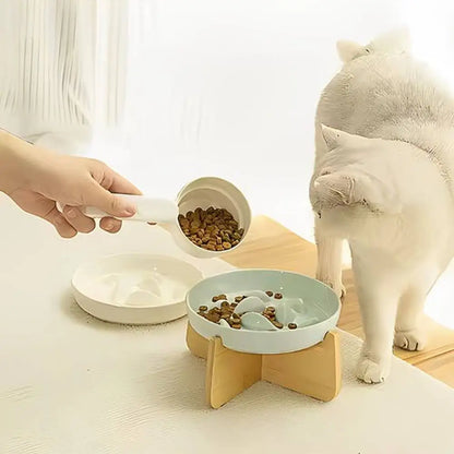 Gamelle anti-glouton DigestPro : bol bas avec croquettes, main verse, chat à côté