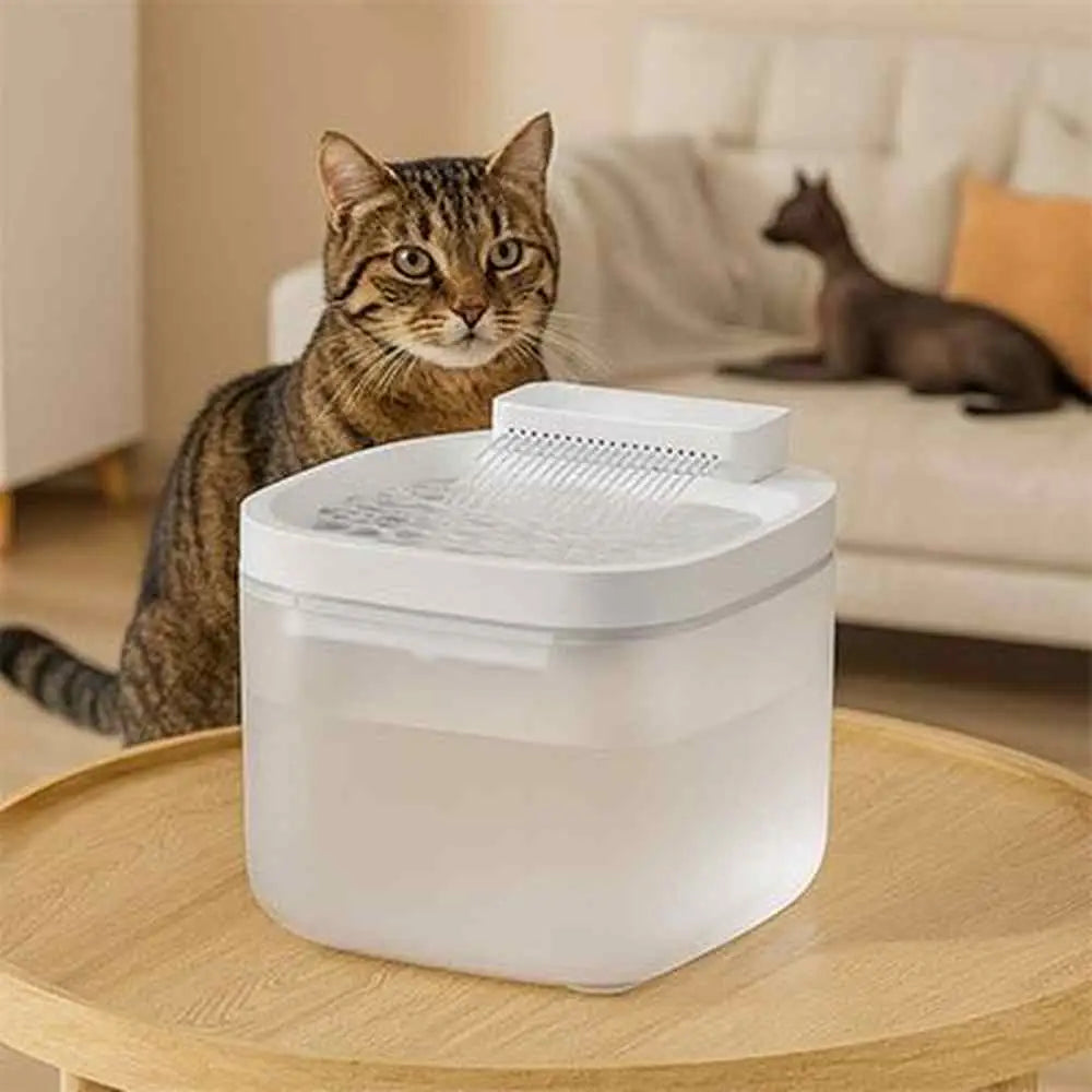 Fontaine à eau pour chat blanche sur socle, couvercle ajouré, chat tigré devant.