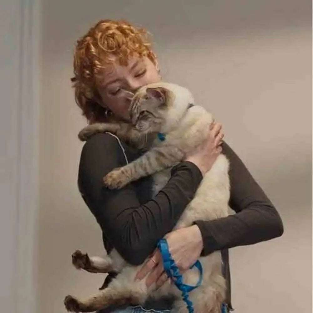 Laisse pour chat bleue : sangle et mousqueton, montrée en situation avec le chat