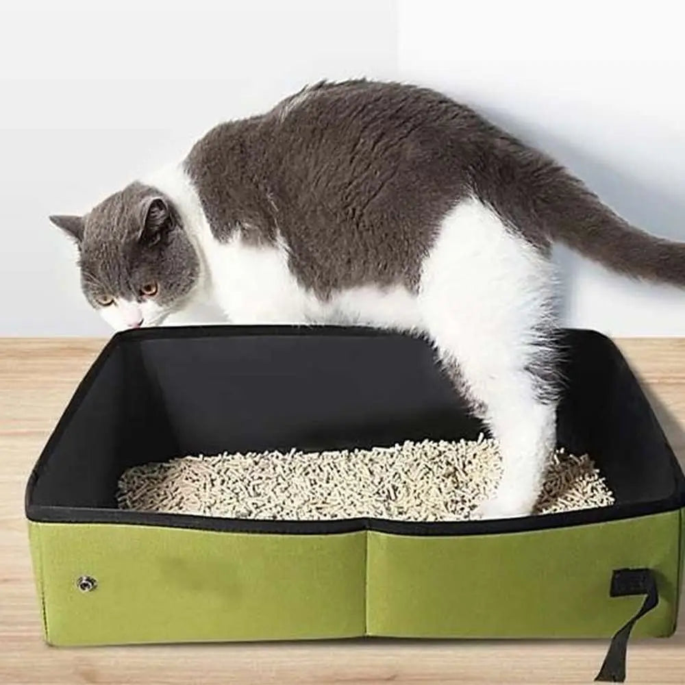 Bac à litière pour chat noir et vert, chat tigré à l’intérieur sur litière.