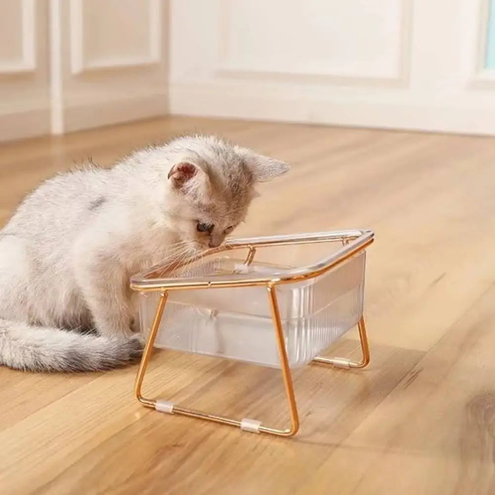Gamelle pour chat double surélevée, bacs transparents et piètement métal doré
