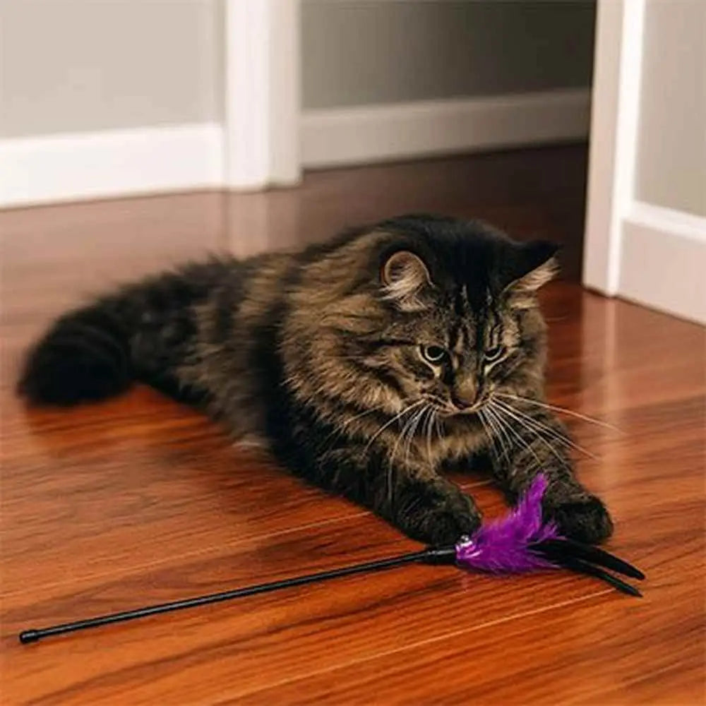 Bâton de jeu pour chat avec plume violette et tige noire