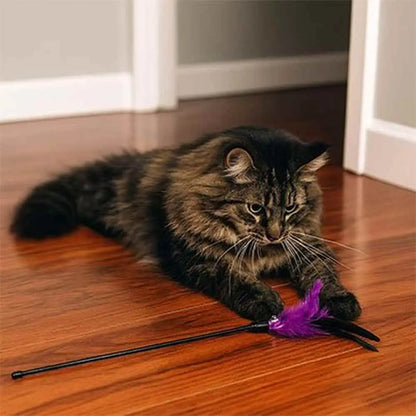 Bâton de jeu pour chat avec plume violette et tige noire