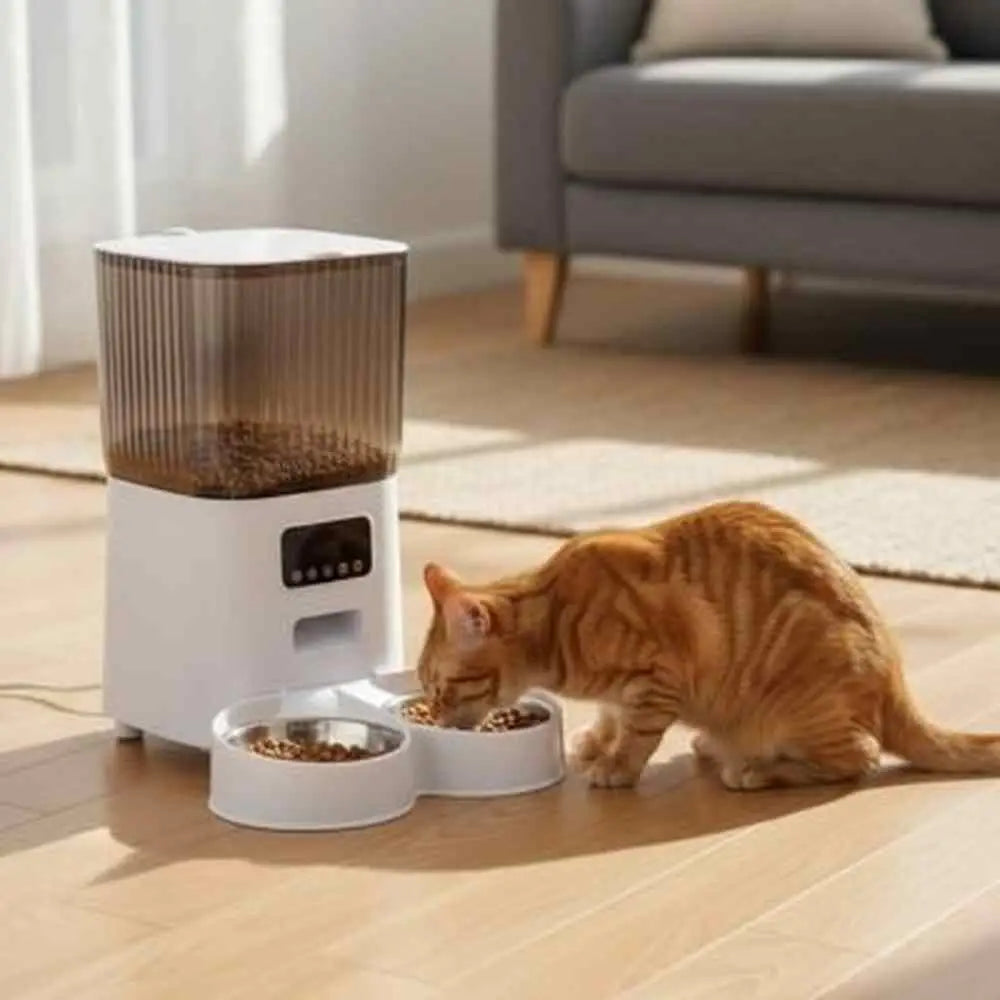 Distributeur de croquettes pour chat AutoFeeder blanc avec trémie brune et gamelle, chat tigré