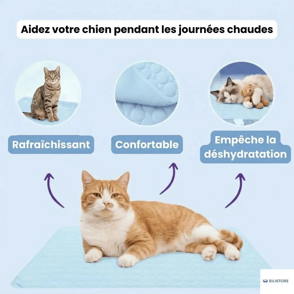 Tapis rafraîchissant pour chat bleu, chat allongé au centre