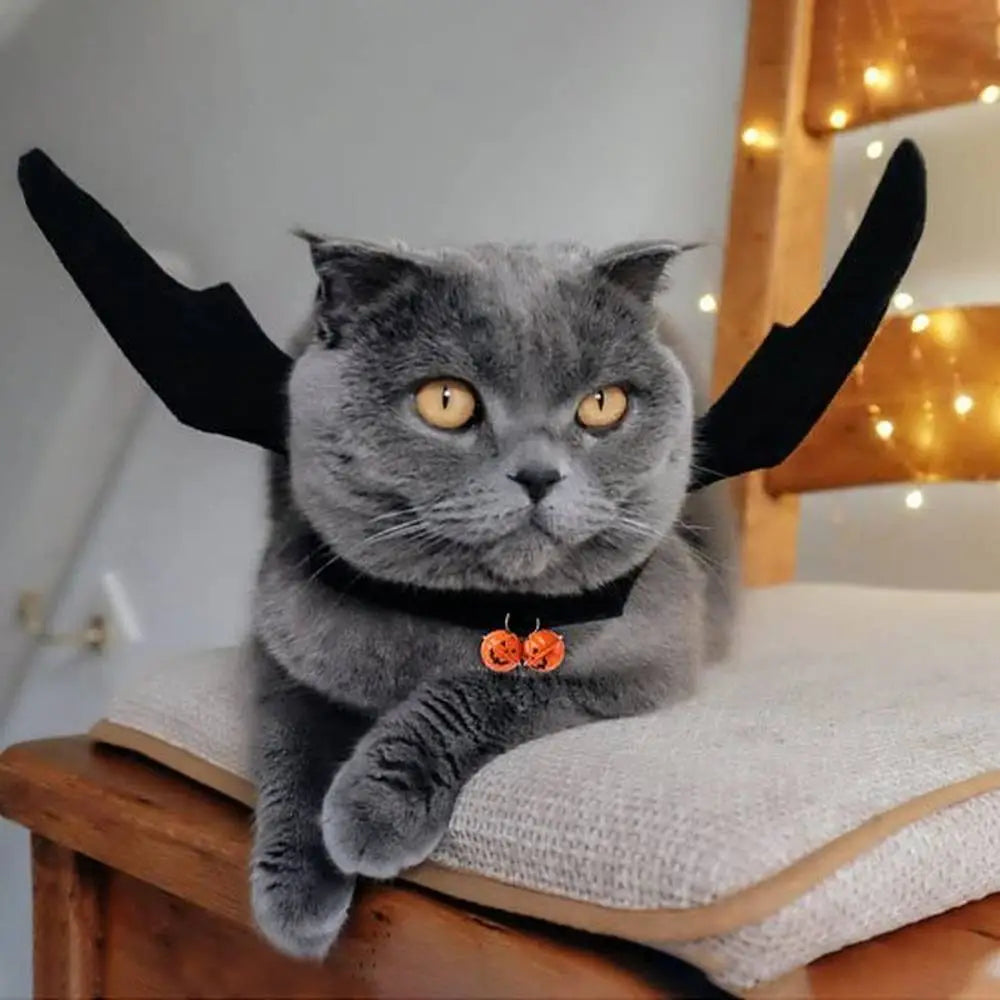 Déguisement de chat StarCostume noir à cornes portées sur la tête et ailes