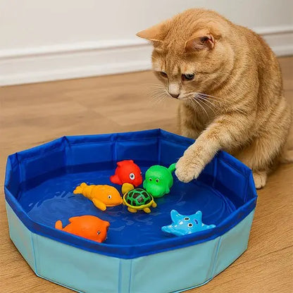 Piscine pour chat interactive avec poissons colorés, chat roux penché au bord