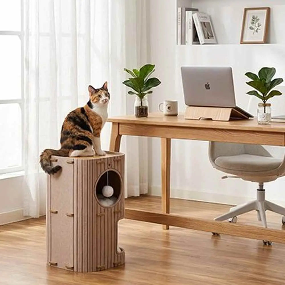 Niche pour chat beige clair avec entrée ronde, chat tigré assis sur le dessus