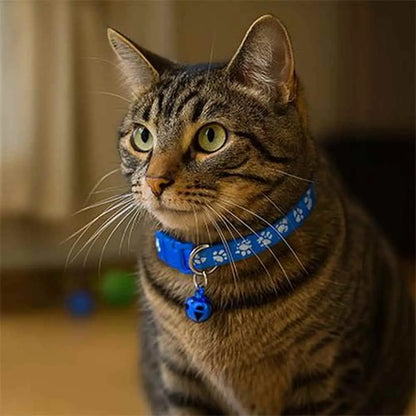 Collier pour chat bleu à pattes blanches, fermoir réglable et clochette bleue