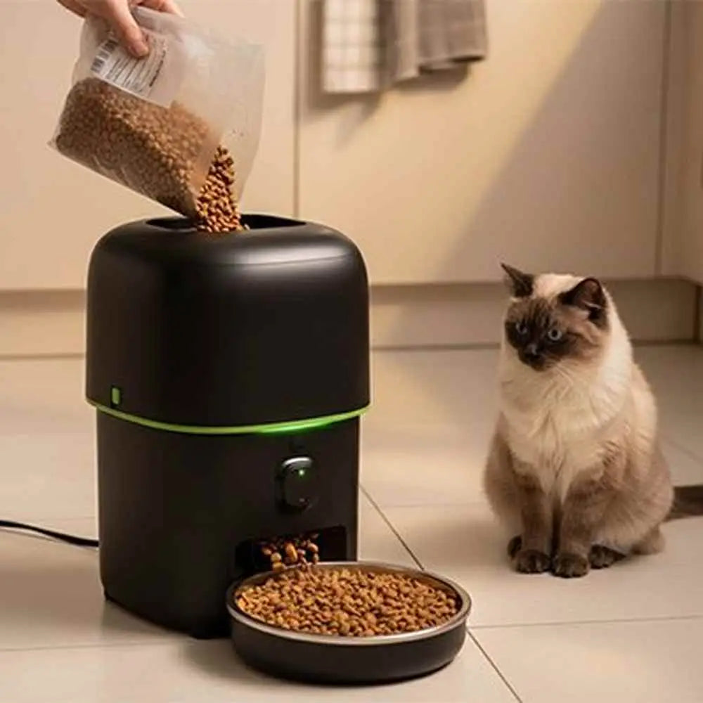 Distributeur de croquettes pour chat noir, trappe de remplissage ouverte au-dessus du bol.