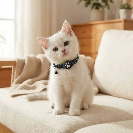 Collier GPS pour chat noir avec motif patte et pendentif au cou