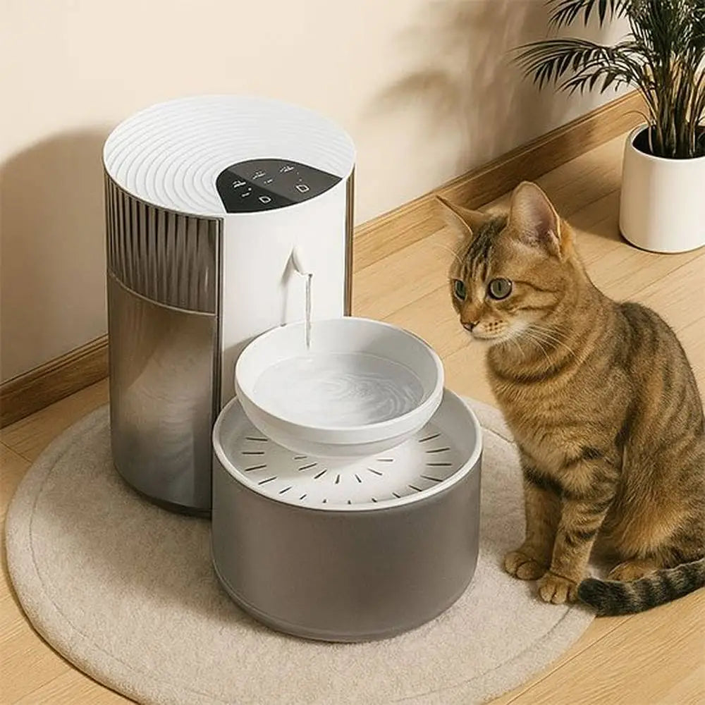 Fontaine à eau pour chat gris clair et blanche, avec bec de remplissage