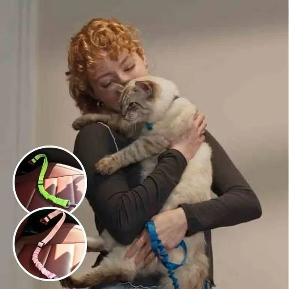 Laisse pour chat verte fluo avec mousqueton, illustrée avec variantes de couleur