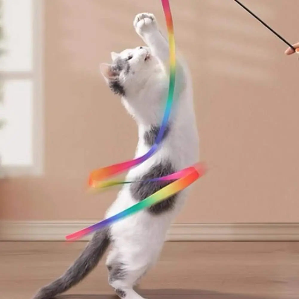 Baguette de jeu pour chat à rubans multicolores, chat blanc se dresse