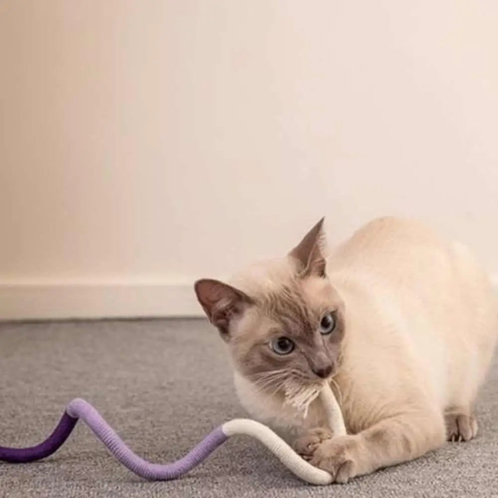 Jouet pour chat serpent en tissu violet et beige, avec plume.