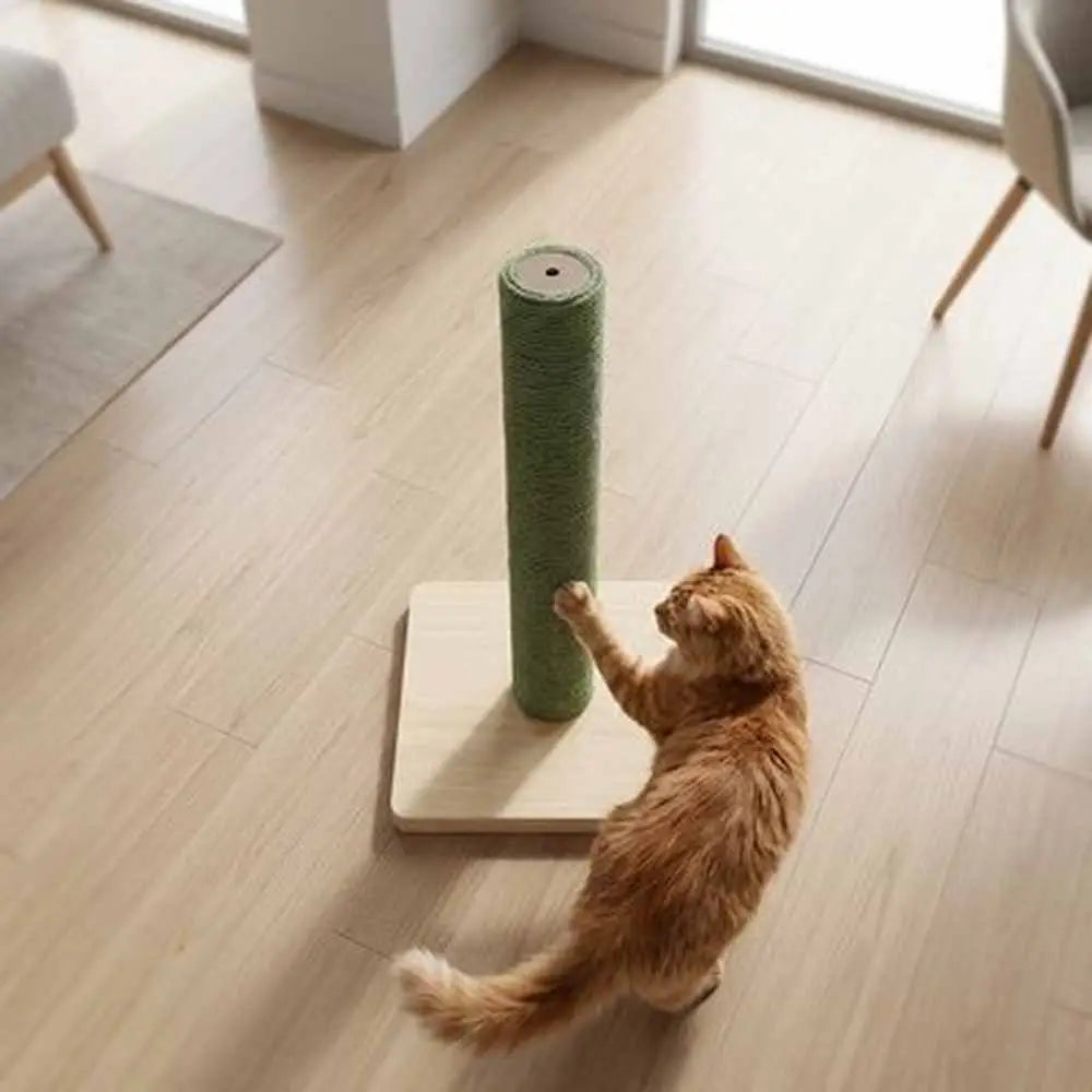 Griffoir pour chat vert en sisal avec base en bois clair et poteau cylindrique.