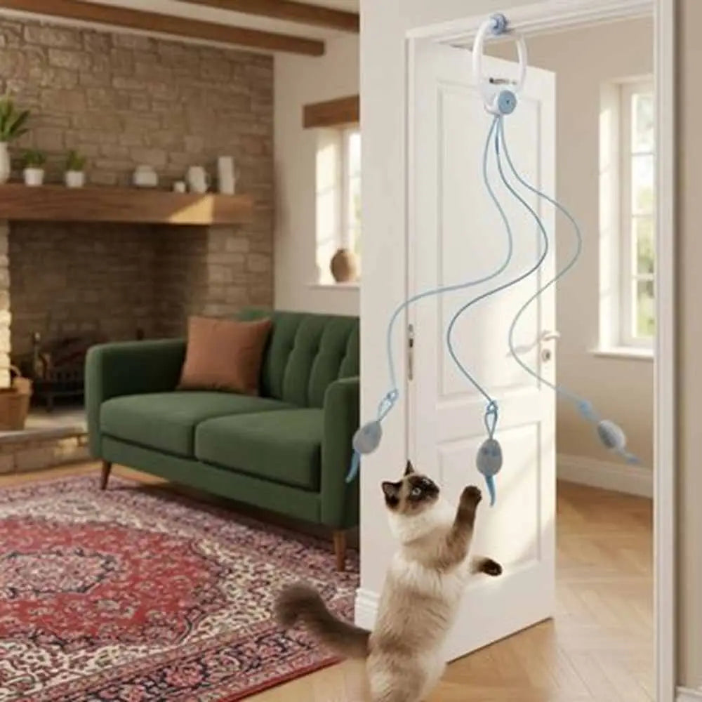 Jeu interactif pour chat avec fils bleus et jouets pendants, chat blanc tigré