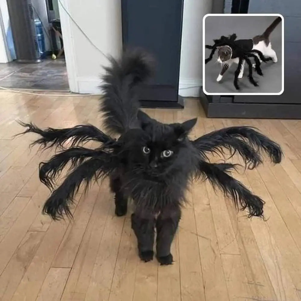 Déguisement pour chat noir à pattes d’araignée duveteuses et capuche.